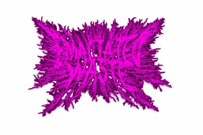 logo Emaciated Waste